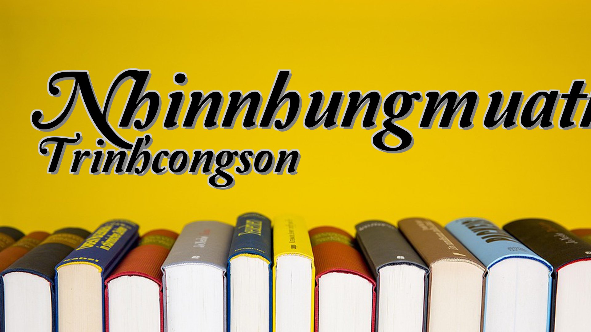 cover-Nhinnhungmuathudi Trinhcongson