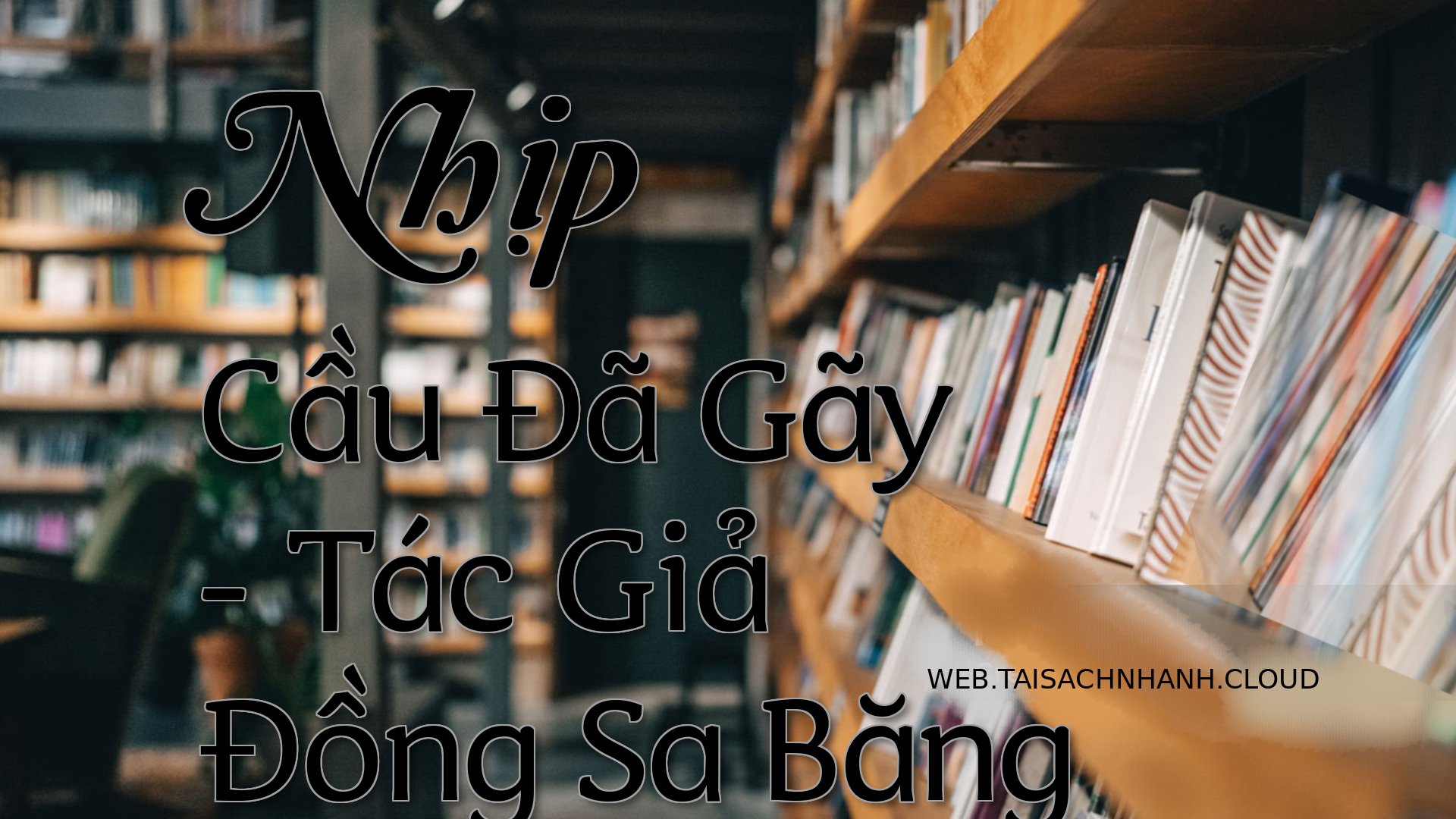 Cover Nhip Cau Da Gay.jpg