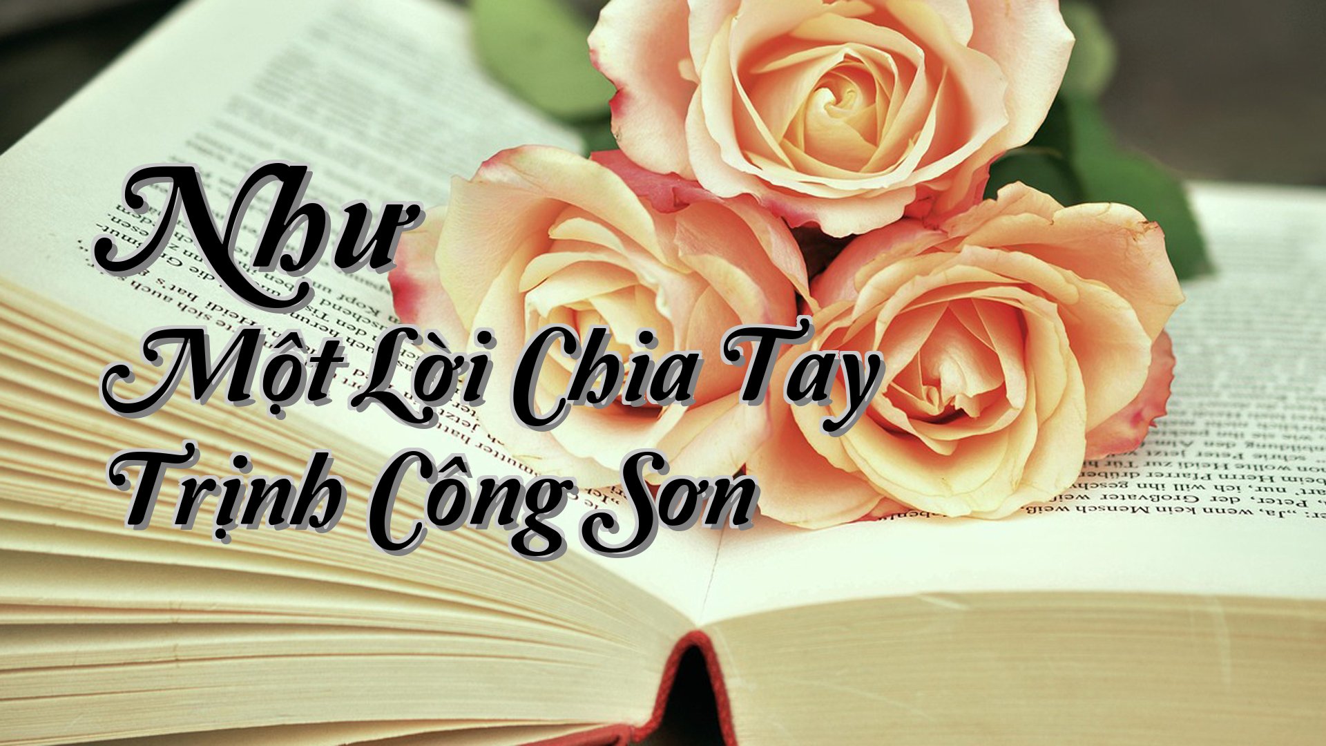 cover-Như Một Lời Chia Tay Trịnh Công Sơn