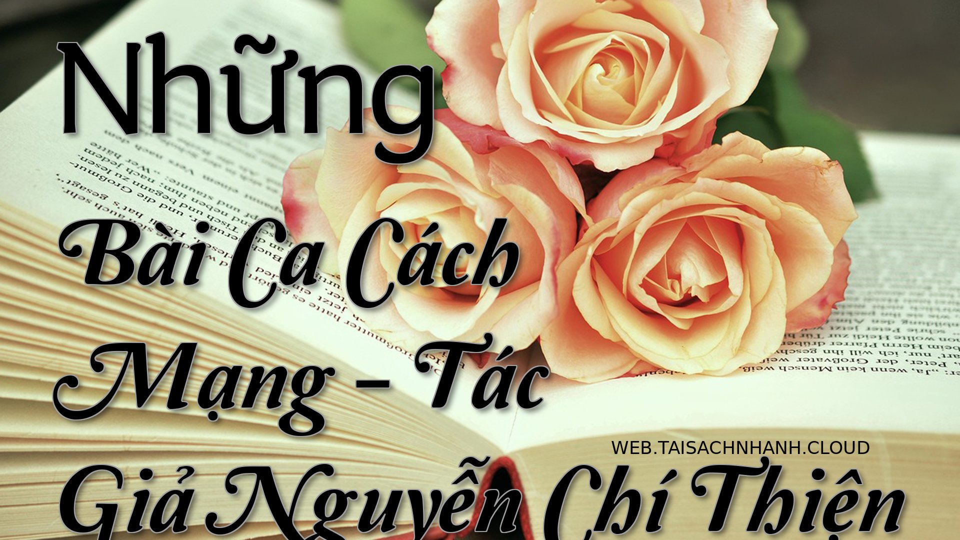 Cover Nhung Bai Ca Cach Ma.jpg