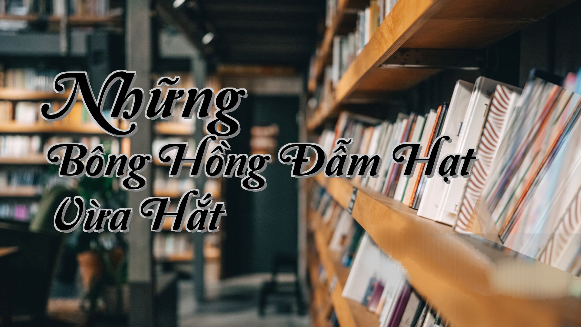 cover-Những Bông Hồng Đẫm Hạt Vừa Hắt