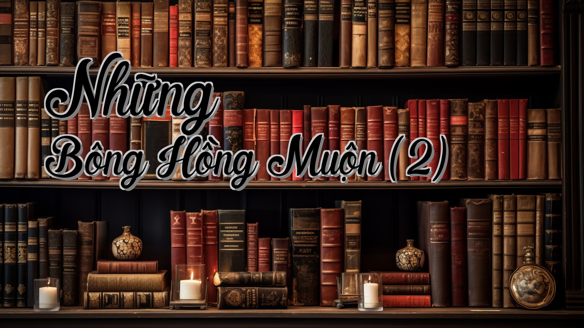 cover-Những Bông Hồng Muộn (2)