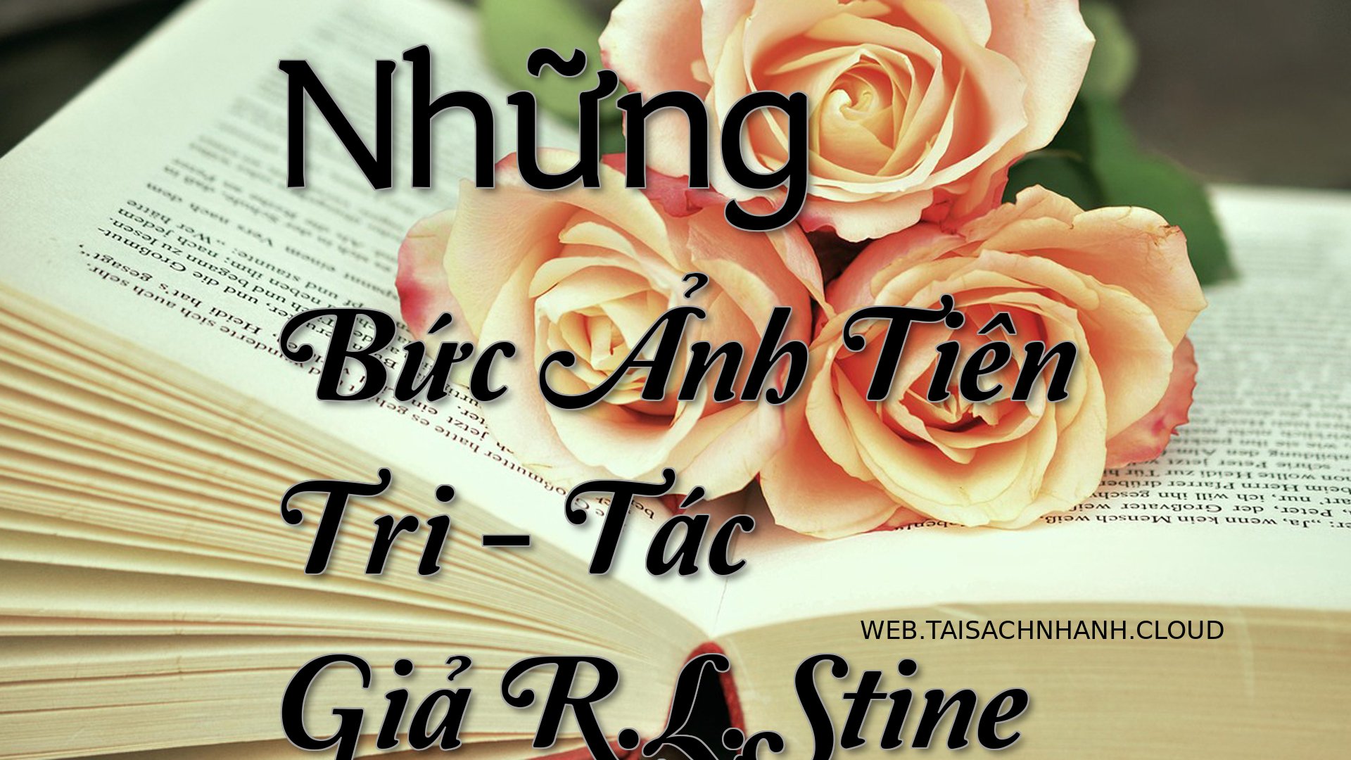 Cover Nhung Buc Anh Tien T.jpg