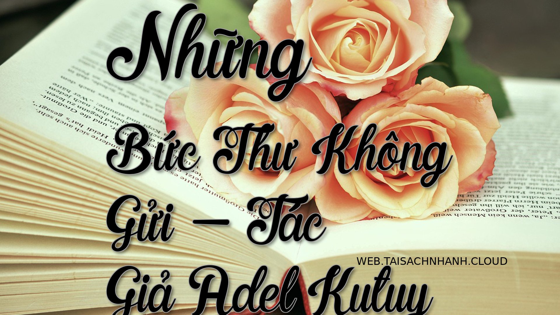 Cover Nhung Buc Thu Khong .jpg