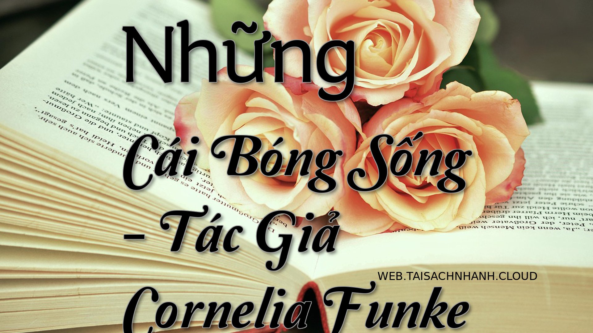 Cover Nhung Cai Bong Song.jpg