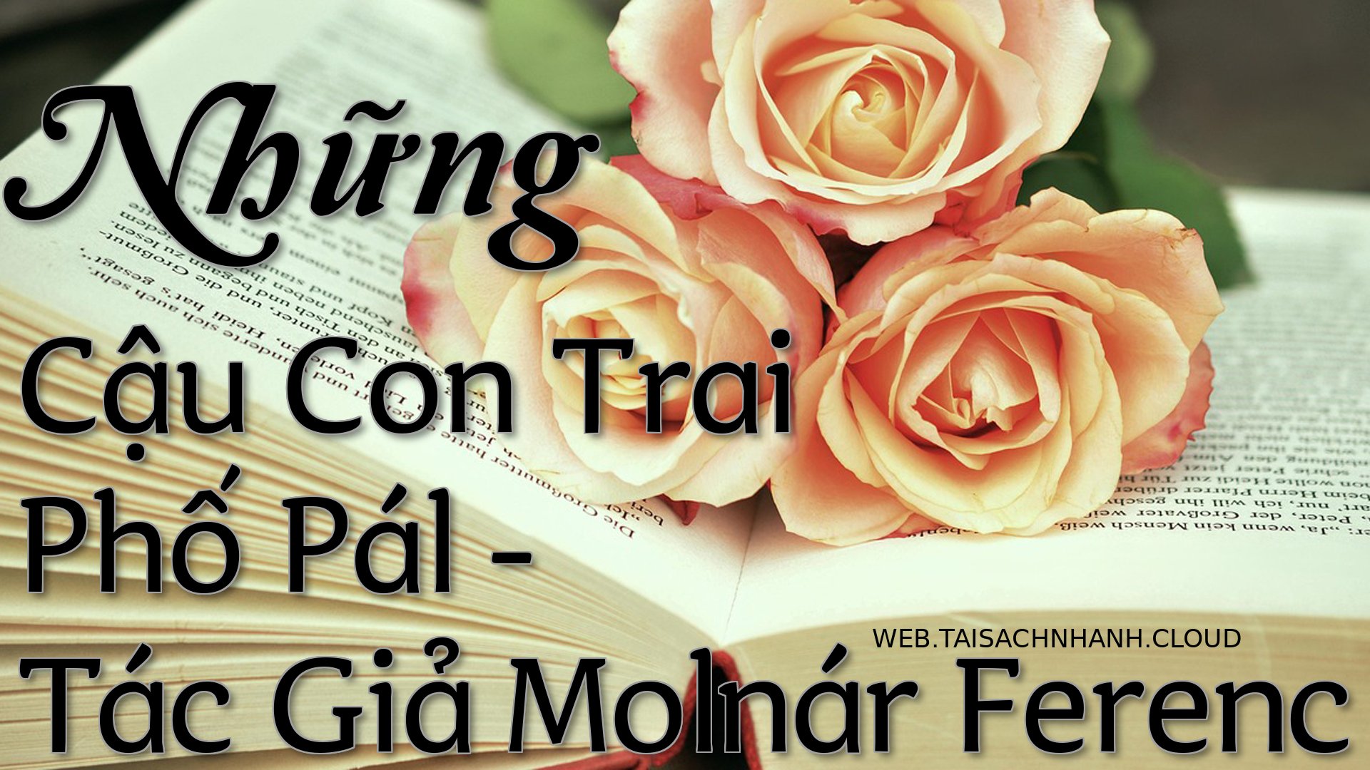 Cover Nhung Cau Con Trai P.jpg