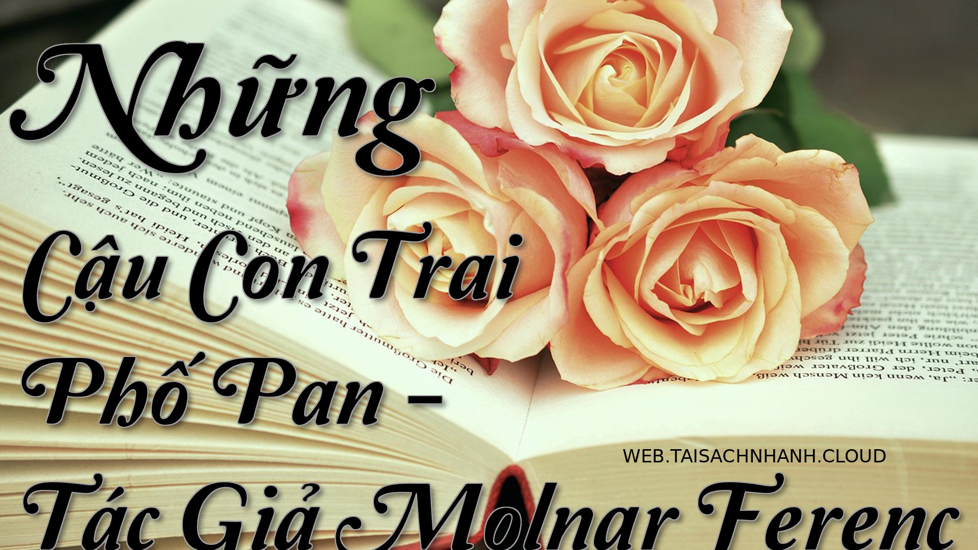 Cover Nhung Cau Con Trai P.jpg