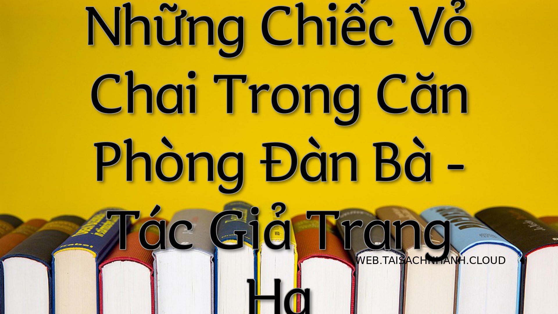 Cover Nhung Chiec Vo Chai .jpg
