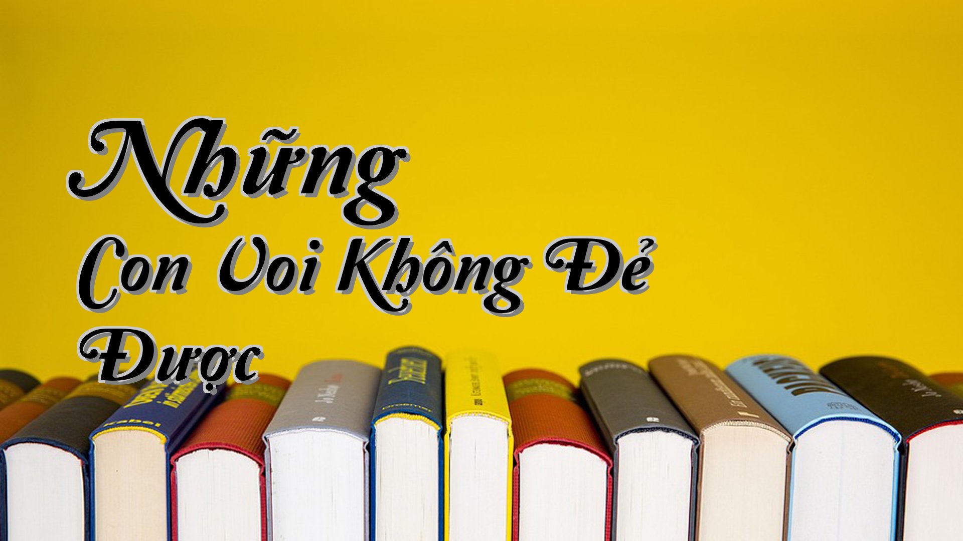 cover-Những Con Voi Không Đẻ Được