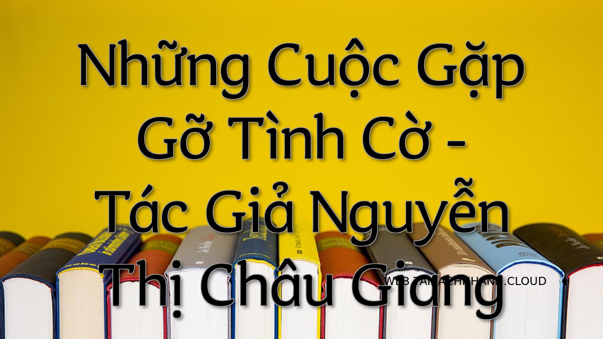 Cover Nhung Cuoc Gap Go Ti.jpg