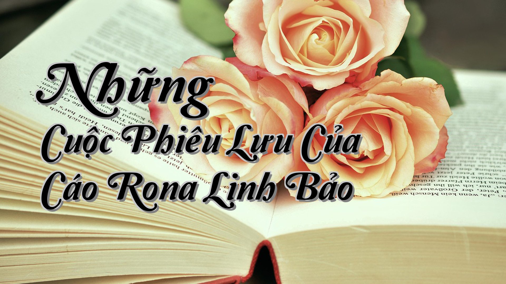 cover-Những Cuộc Phiêu Lưu Của Cáo Rona Linh Bảo