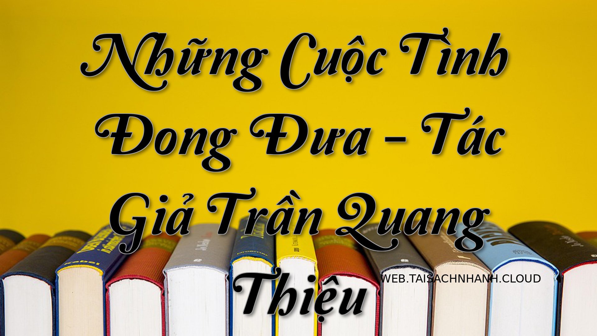 Cover Nhung Cuoc Tinh Dong.jpg