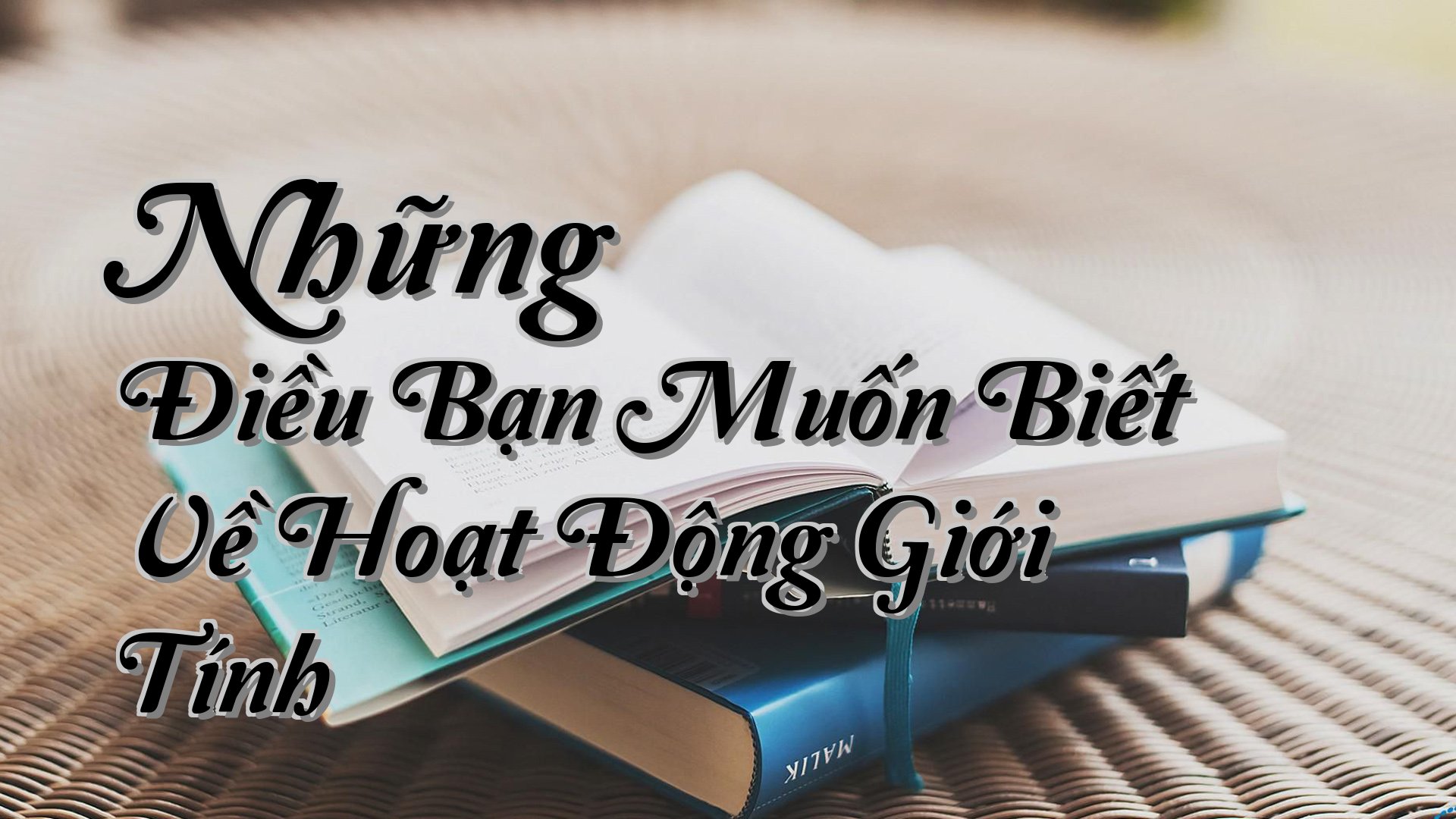 cover-Những Điều Bạn Muốn Biết Về Hoạt Động Giới Tính
