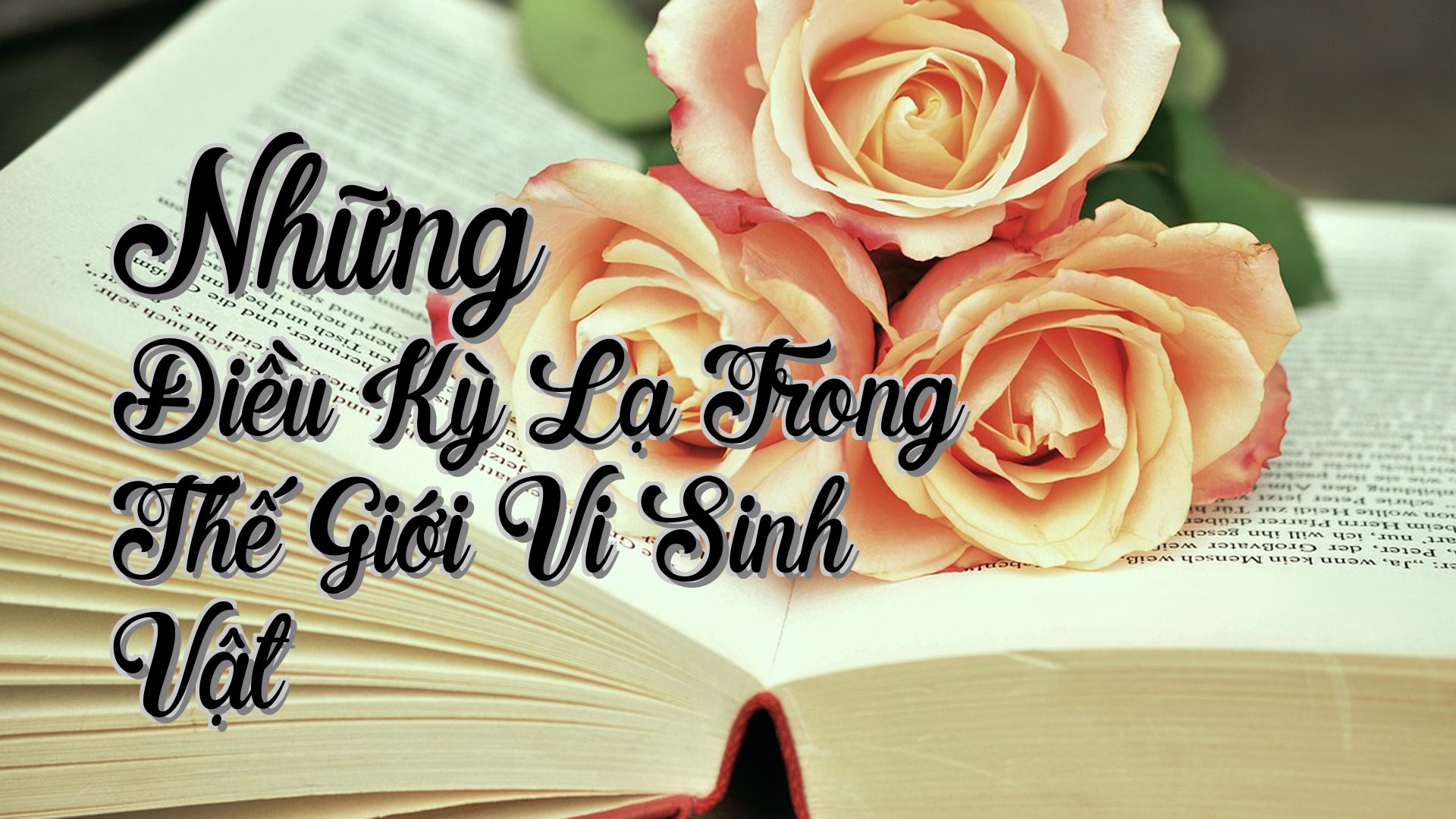 cover-Những Điều Kỳ Lạ Trong Thế Giới Vi Sinh Vật