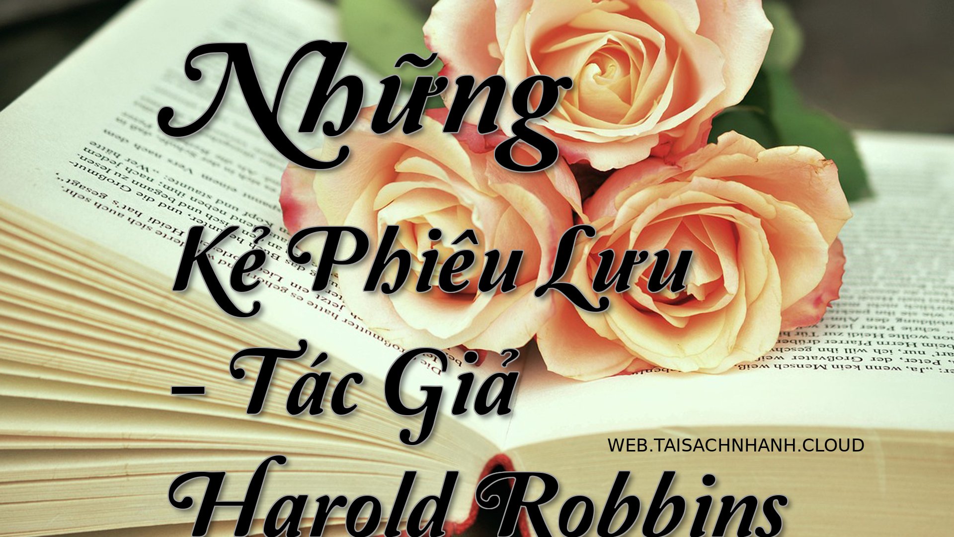 Cover Nhung Ke Phieu Luu.jpg