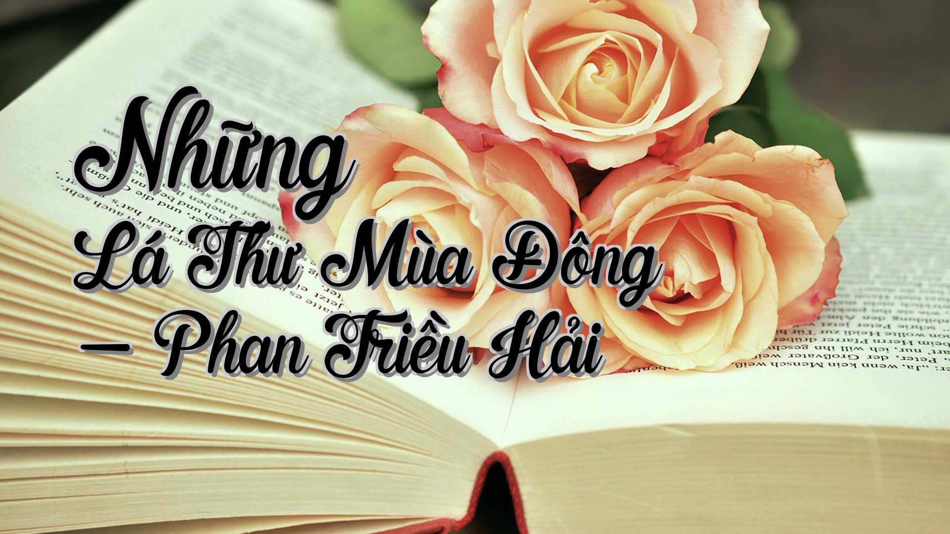 cover-Những Lá Thư Mùa Đông - Phan Triều Hải