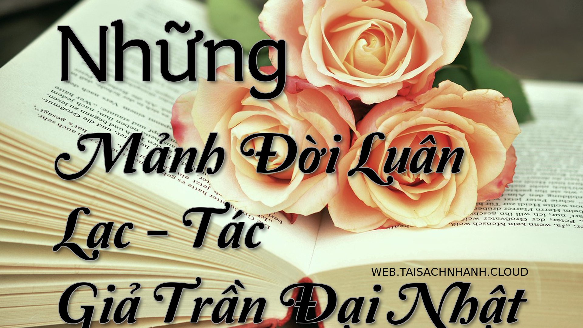 Cover Nhung Manh Doi Luan .jpg