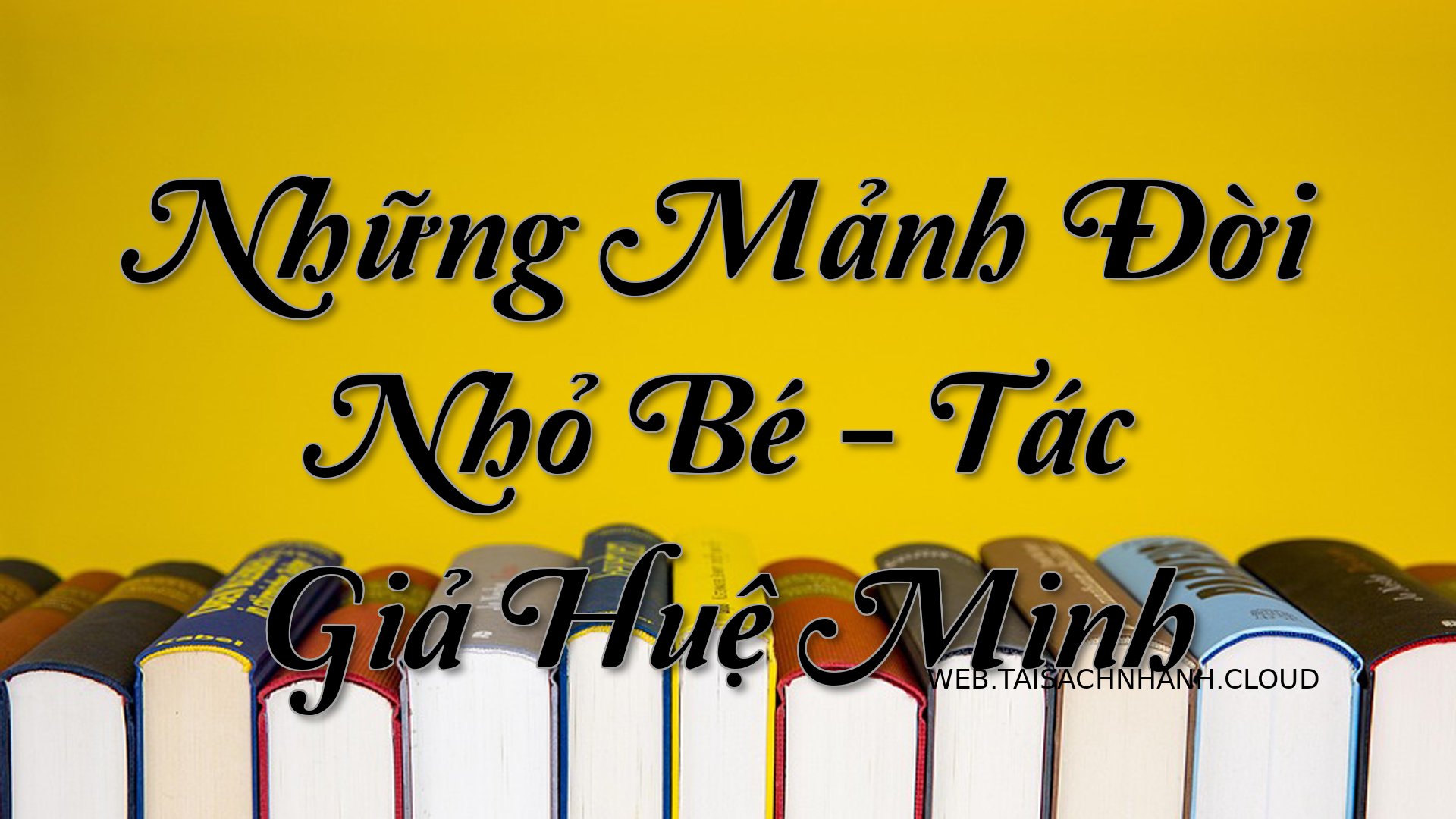 Cover Nhung Manh Doi Nho B.jpg