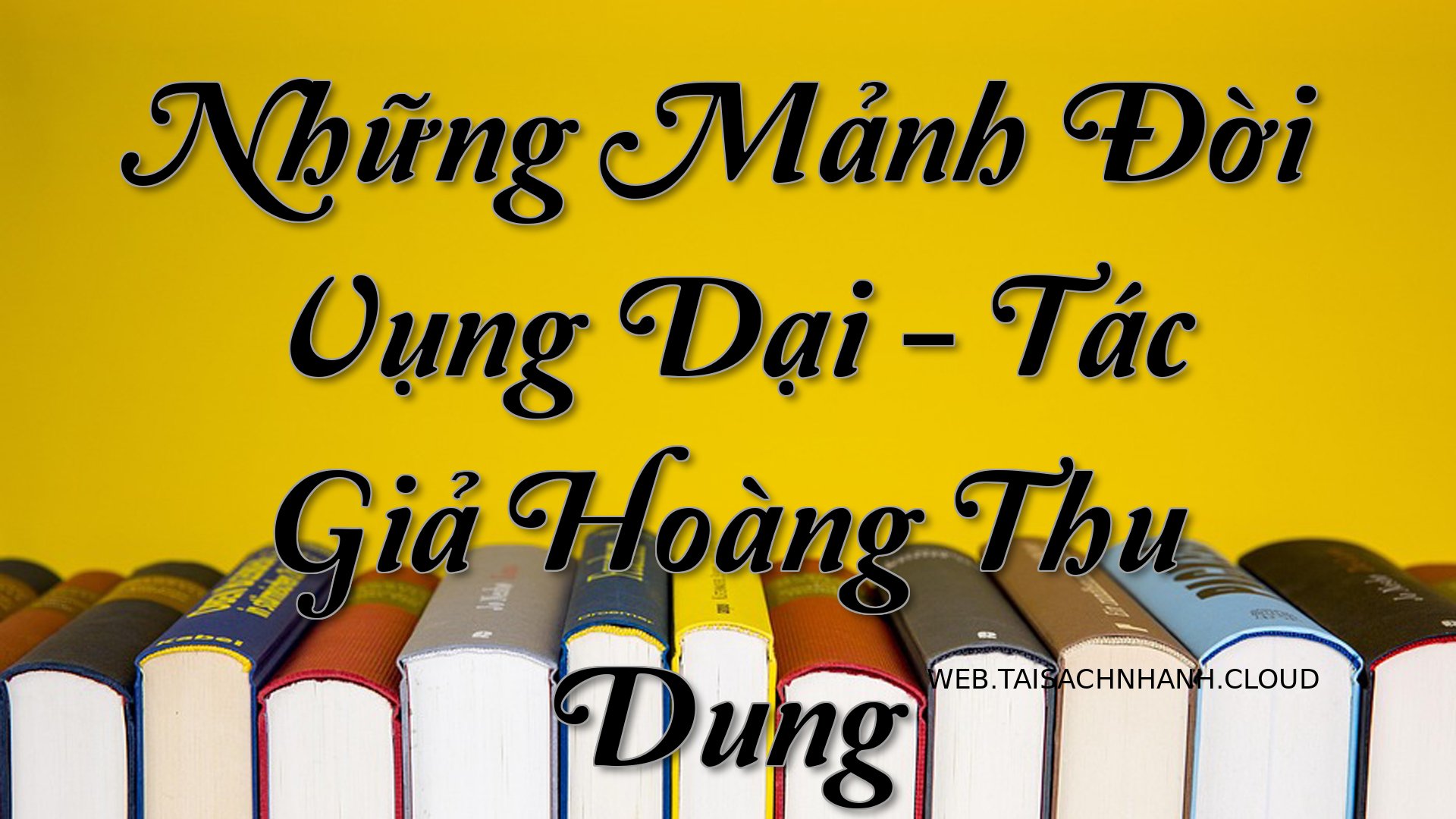Cover Nhung Manh Doi Vung .jpg