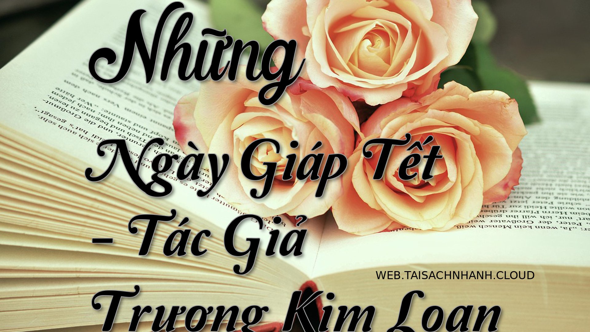 Cover Nhung Ngay Giap Tet.jpg