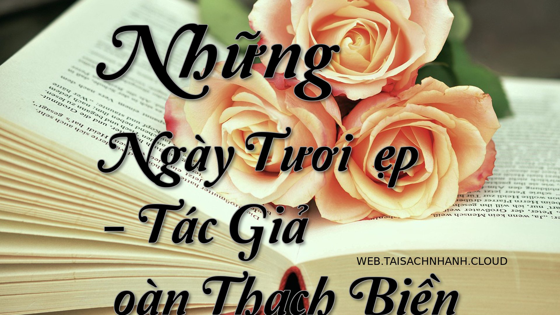 Cover Nhung Ngay Tuoi Dep.jpg