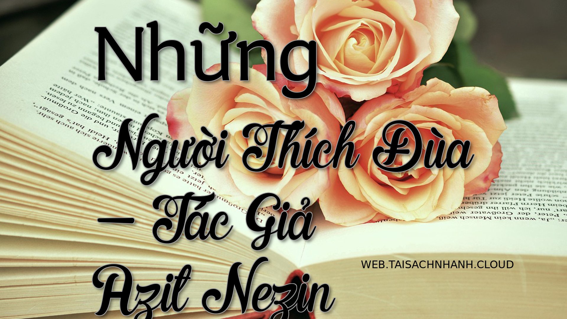 Cover Nhung Nguoi Thich Du.jpg