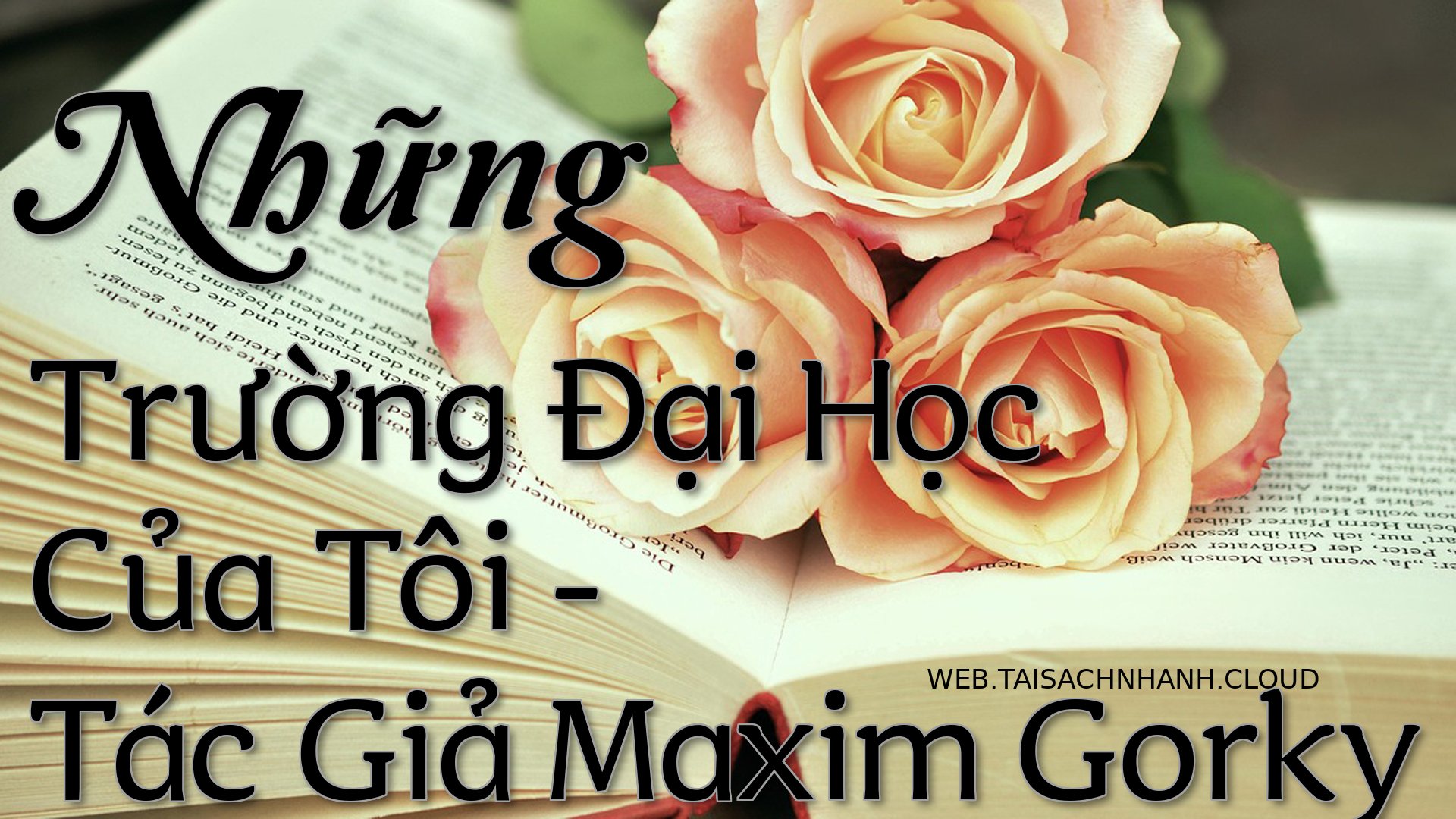 Cover Nhung Truong Dai Hoc.jpg