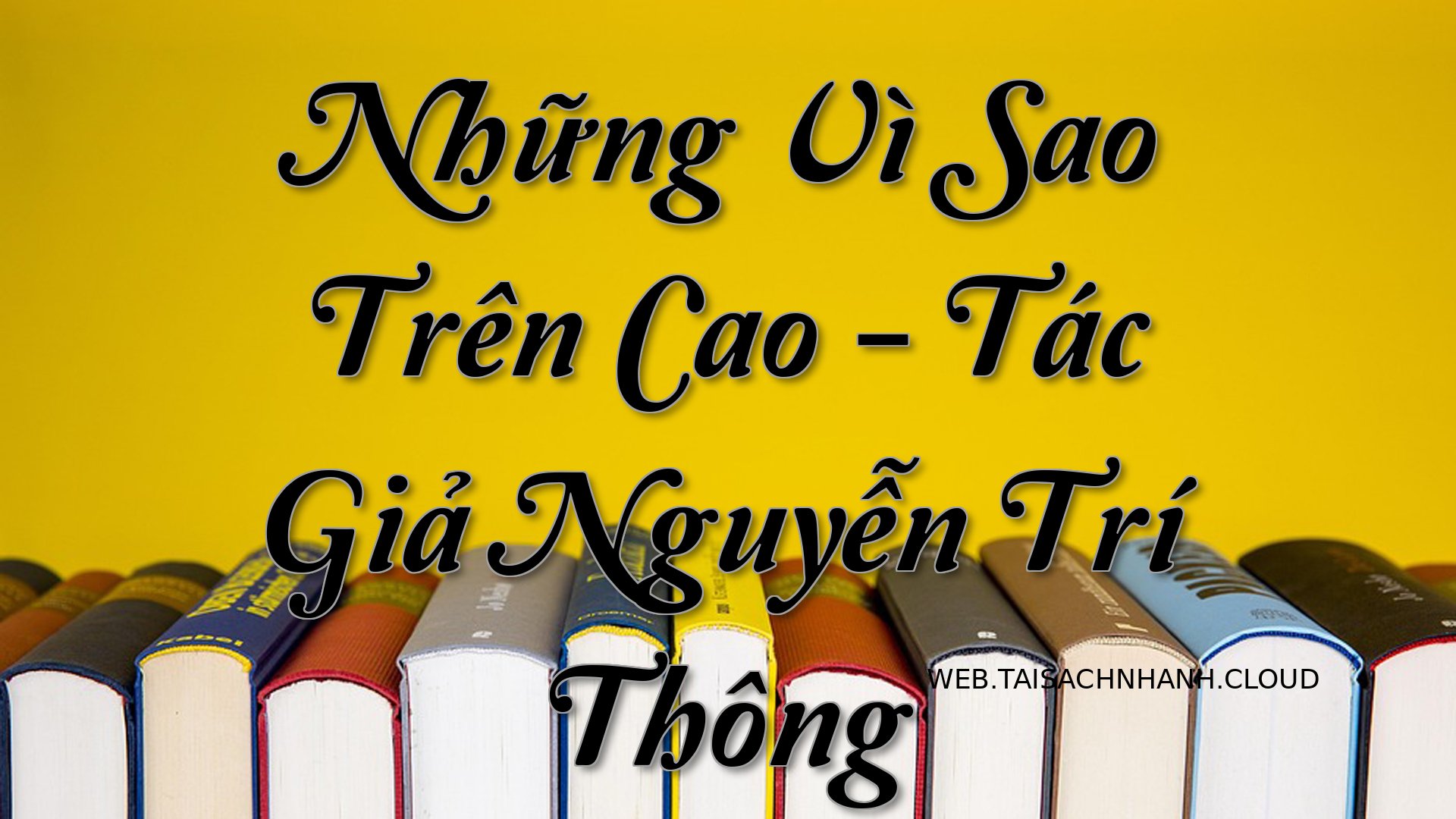Cover Nhung Vi Sao Tren Ca.jpg