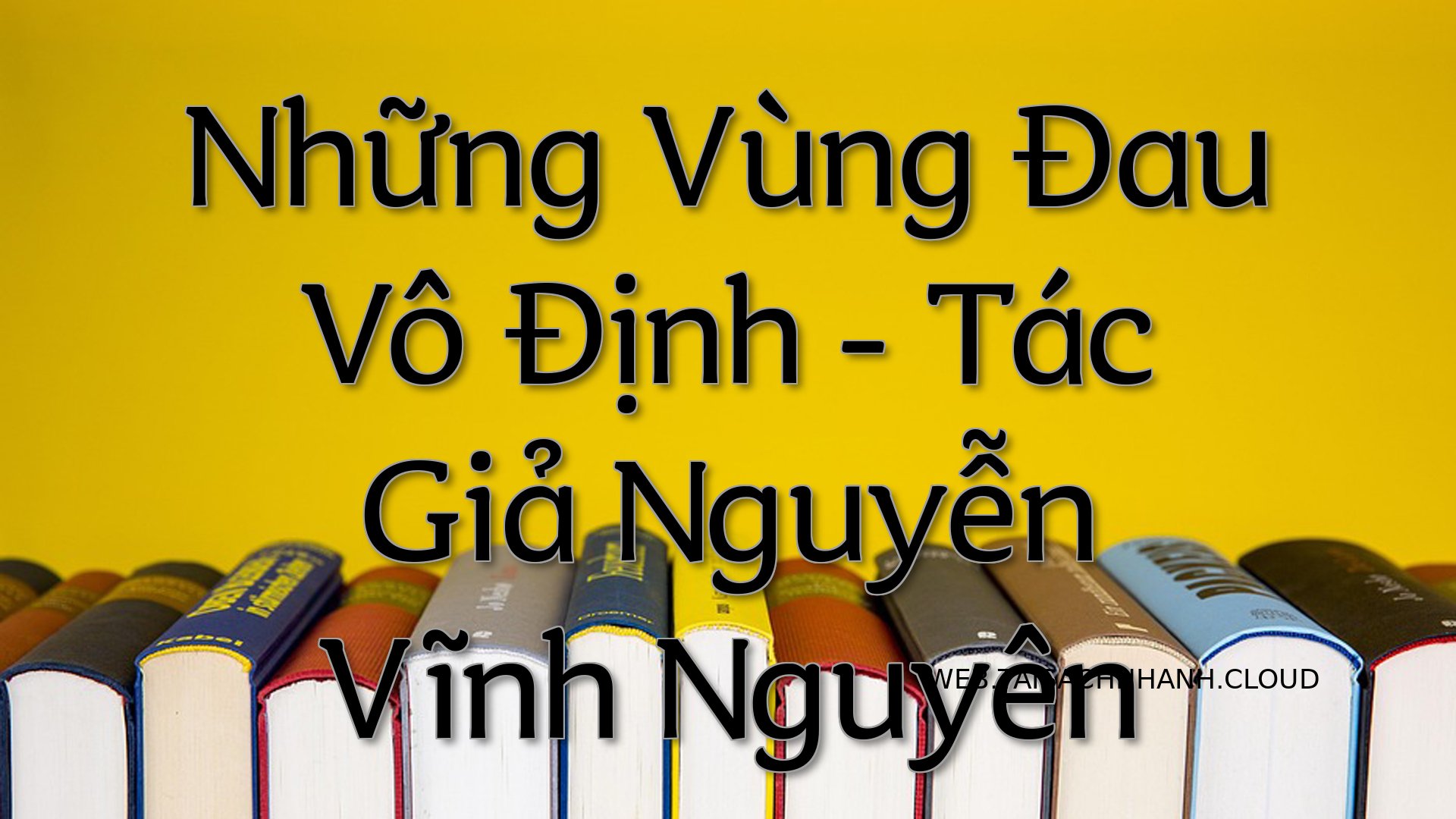 Cover Nhung Vung Dau Vo Di.jpg