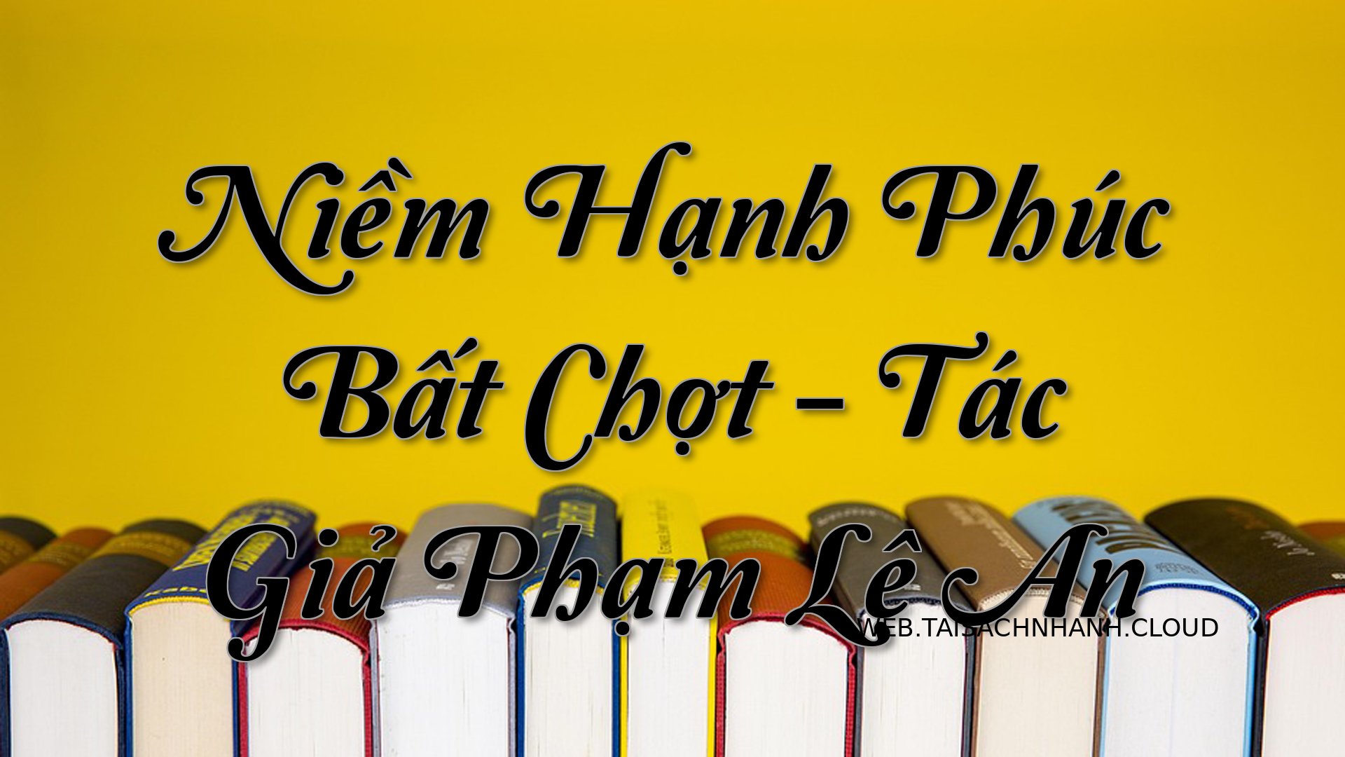Cover Niem Hanh Phuc Bat C.jpg