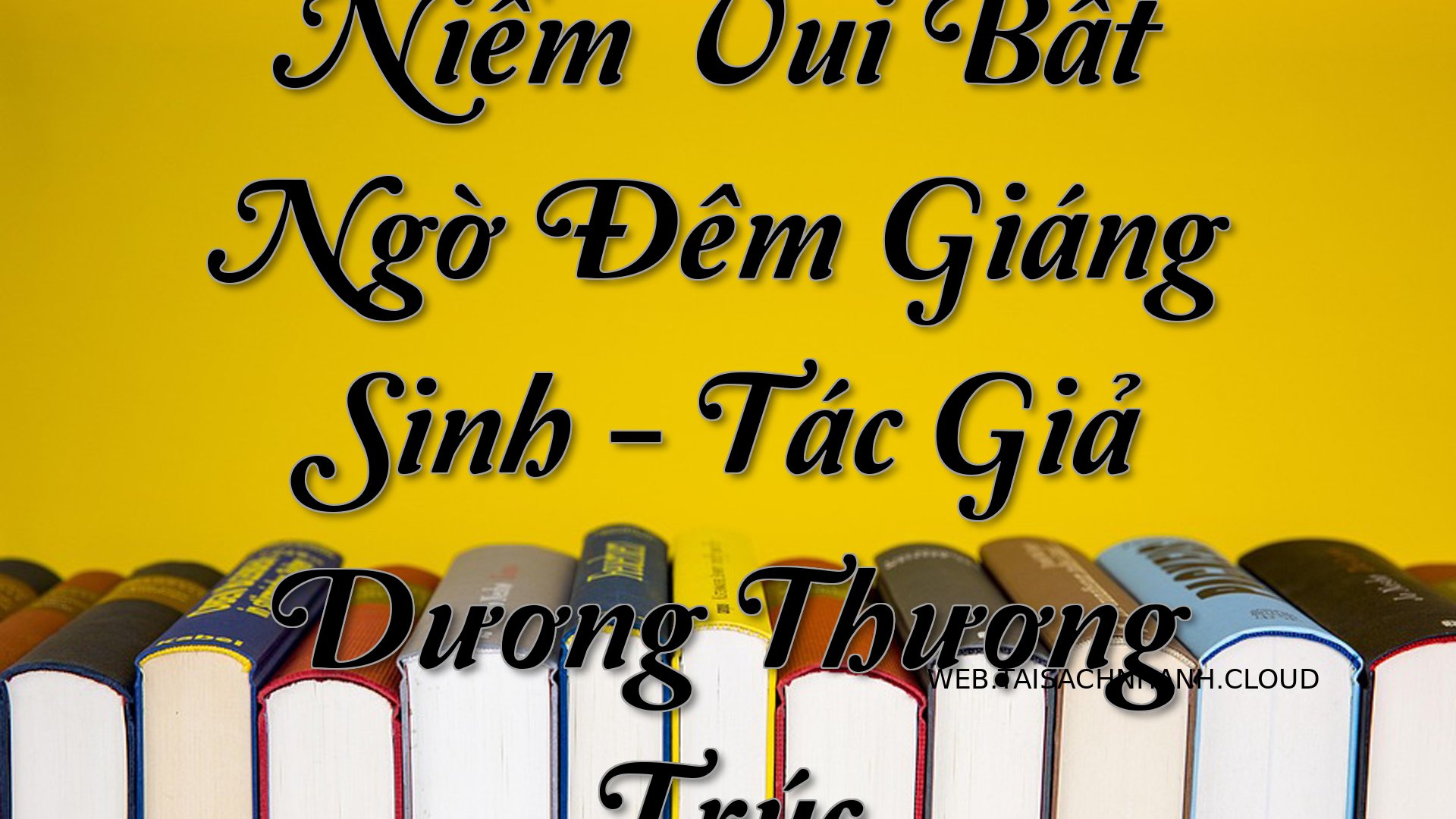 Cover Niem Vui Bat Ngo Dem.jpg