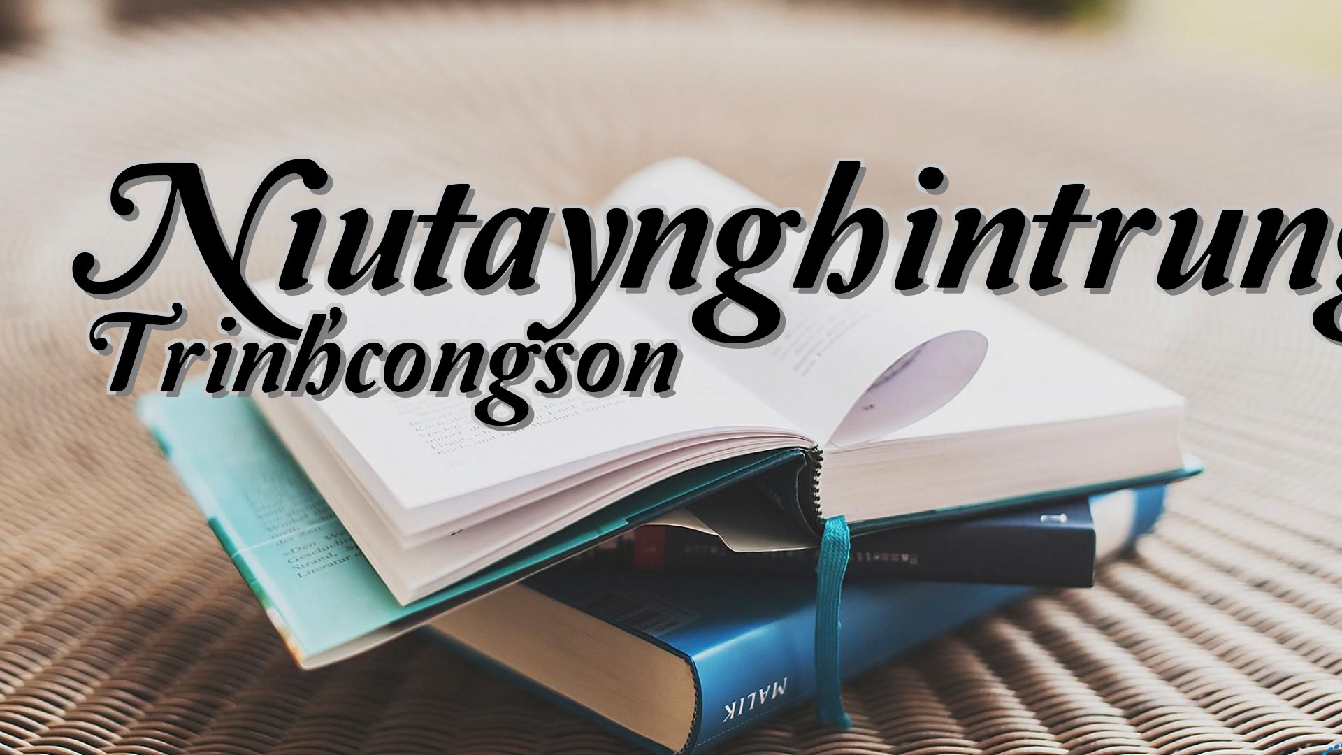cover-Niutaynghintrung Trinhcongson
