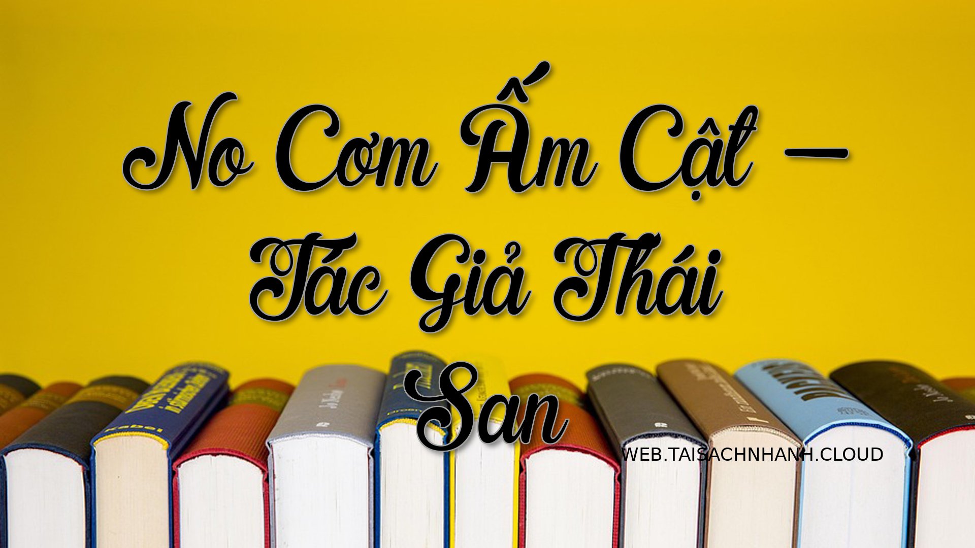 Cover No Com Am Cat.jpg