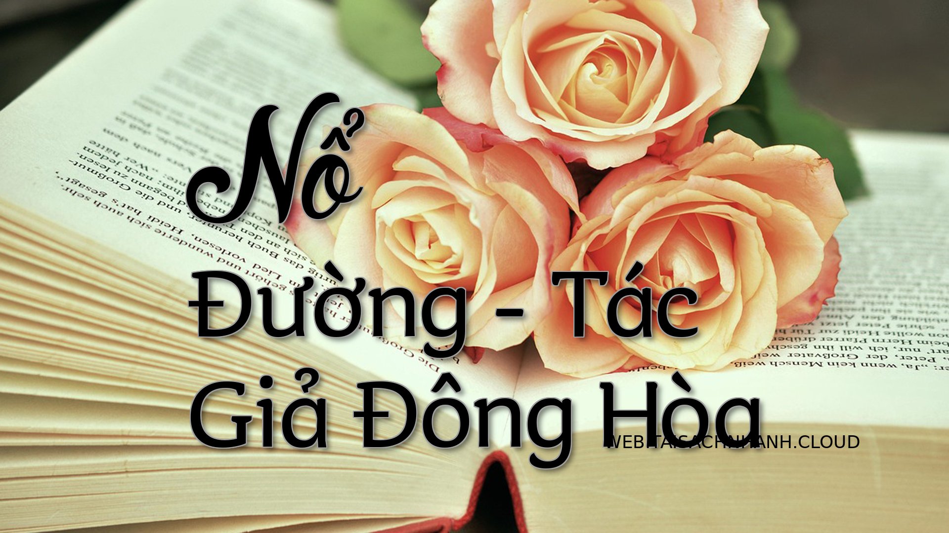Cover No Duong.jpg