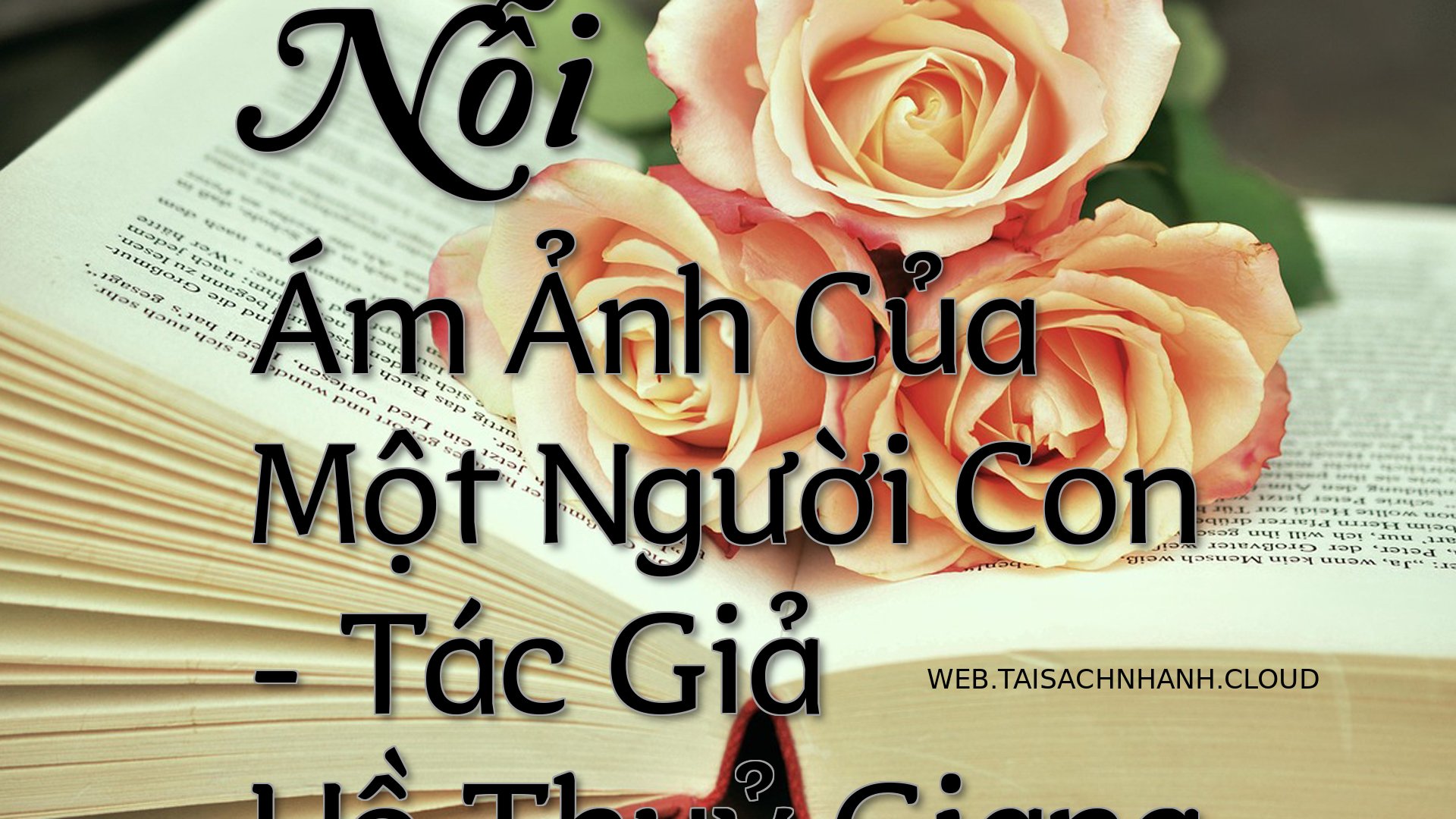 Cover Noi Am Anh Cua Mot N.jpg