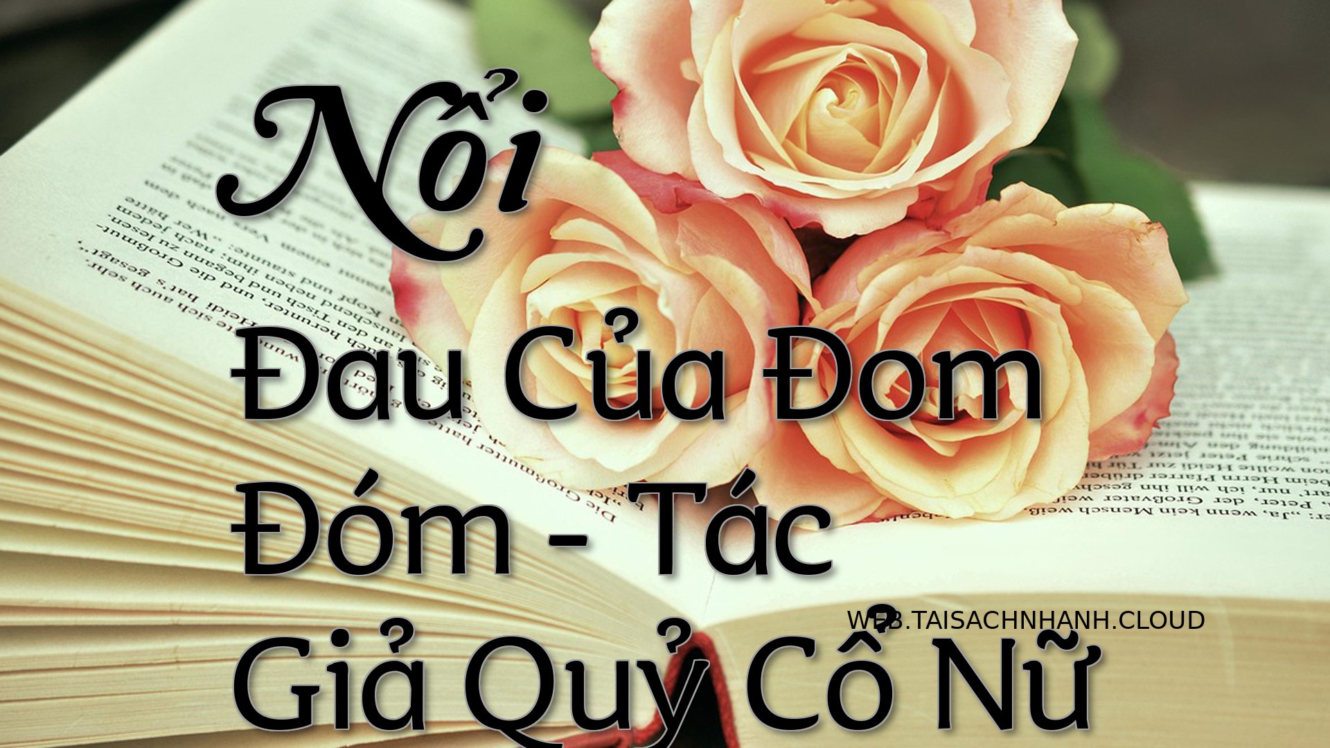 Cover Noi Dau Cua Dom Dom.jpg