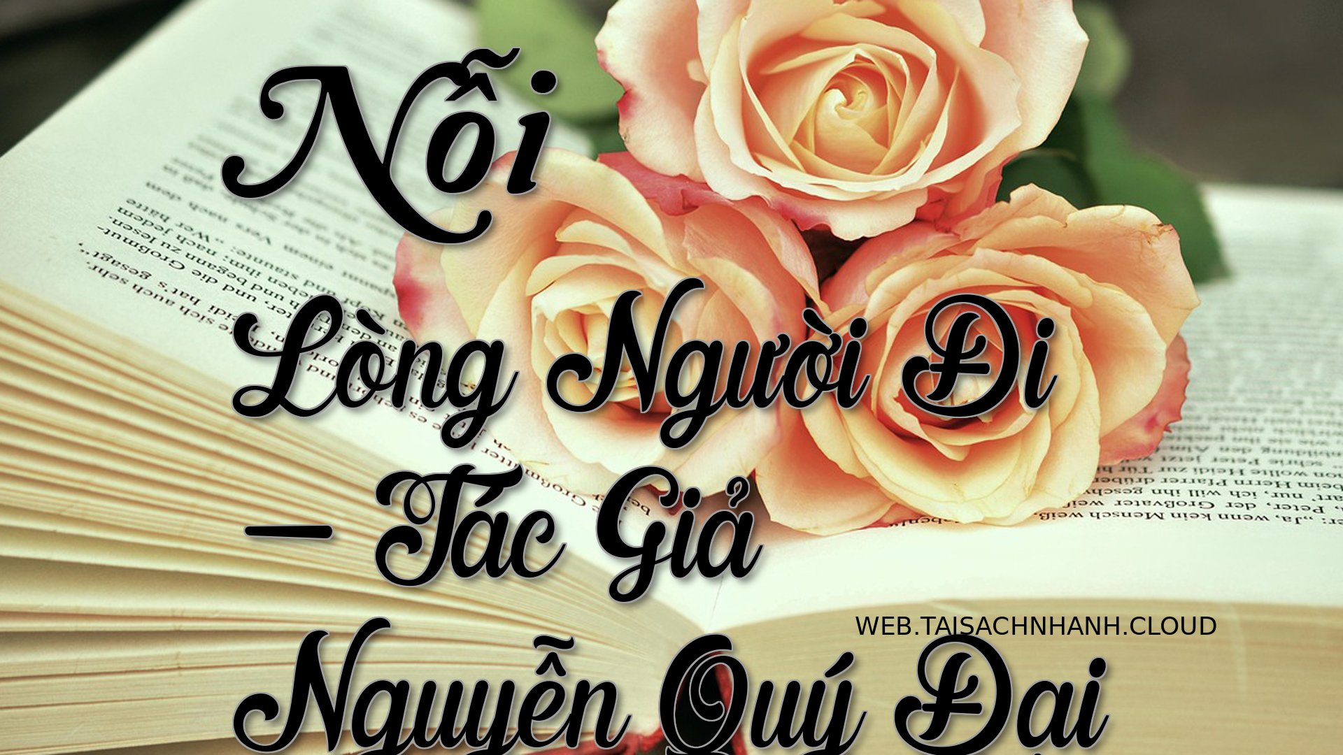 Cover Noi Long Nguoi Di.jpg