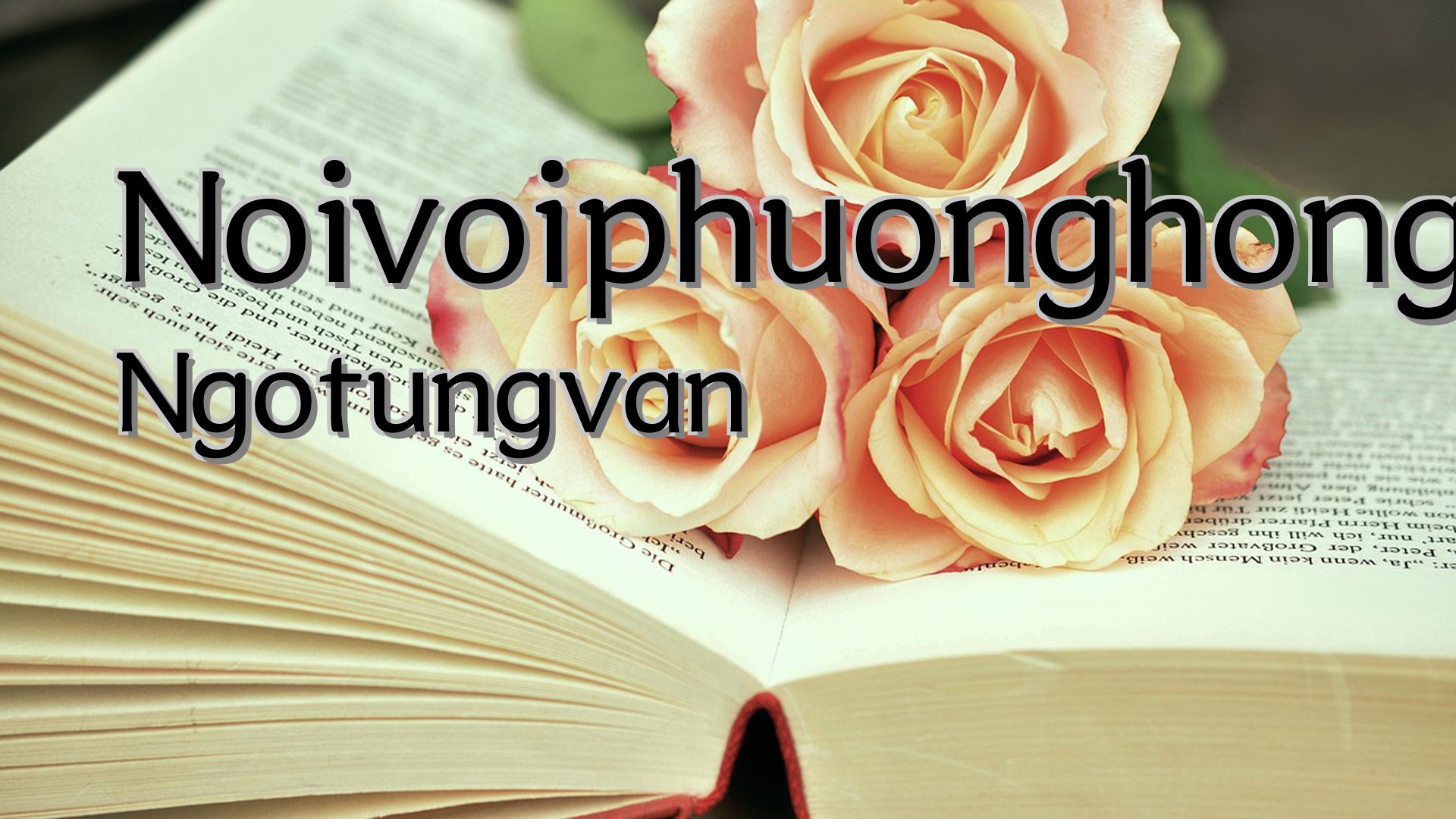 cover-Noivoiphuonghong Ngotungvan