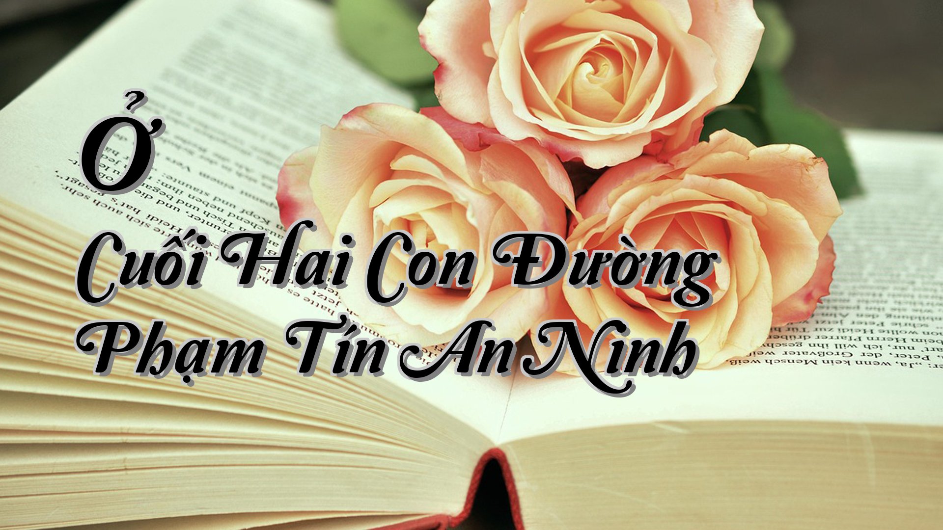 cover-Ở Cuối Hai Con Đường Phạm Tín An Ninh
