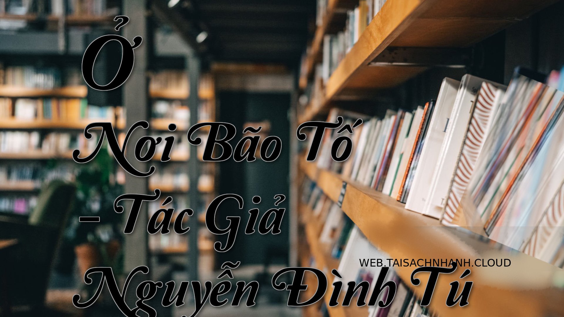 Cover O Noi Bao To.jpg