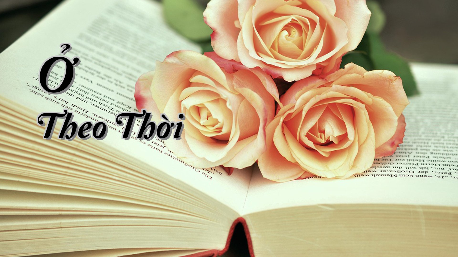 cover-Ở Theo Thời