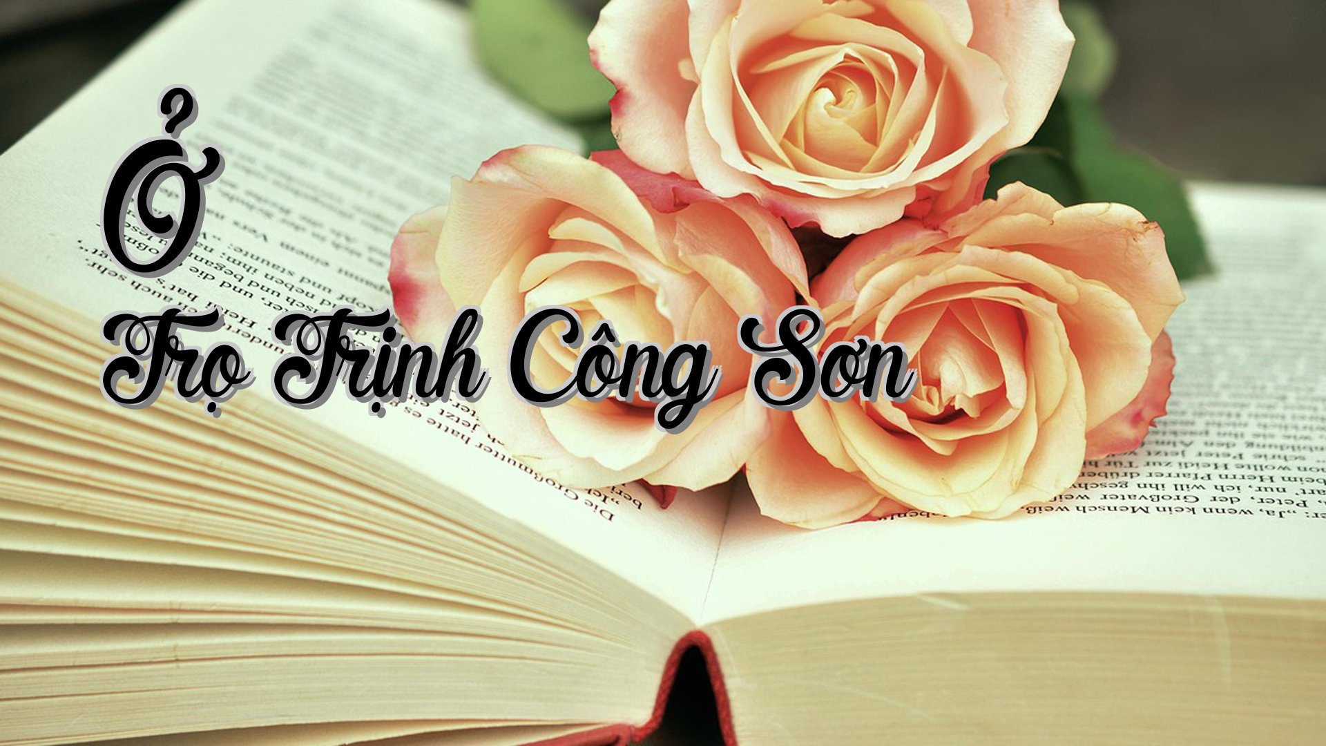 cover-Ở Trọ Trịnh Công Sơn