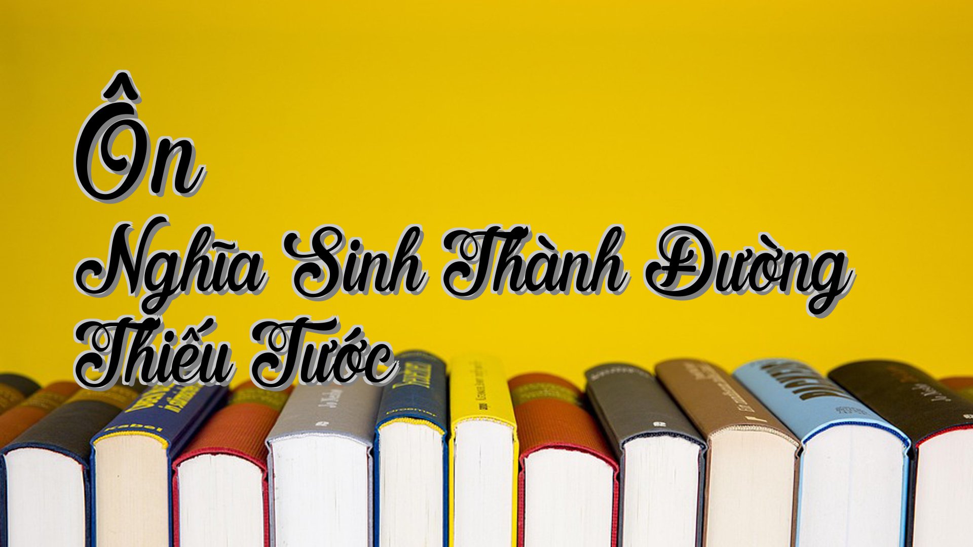 cover-Ôn Nghĩa Sinh Thành Đường Thiếu Tước