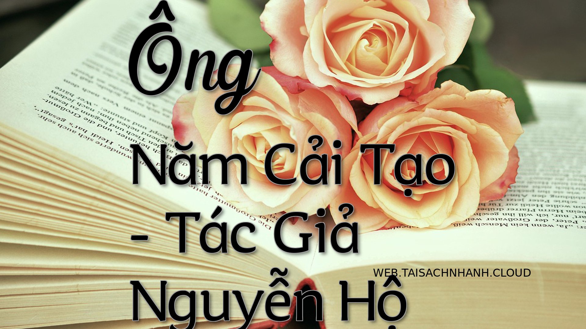 Cover Ong Nam Cai Tao.jpg