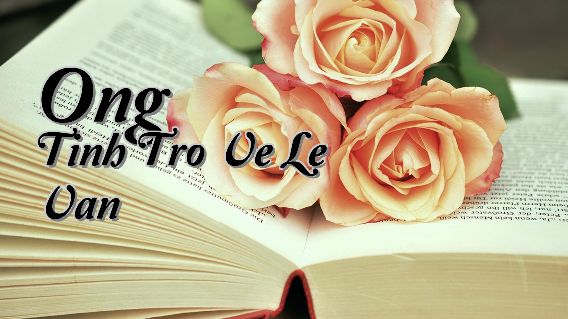 cover-Ong Tinh Tro Ve Le Van