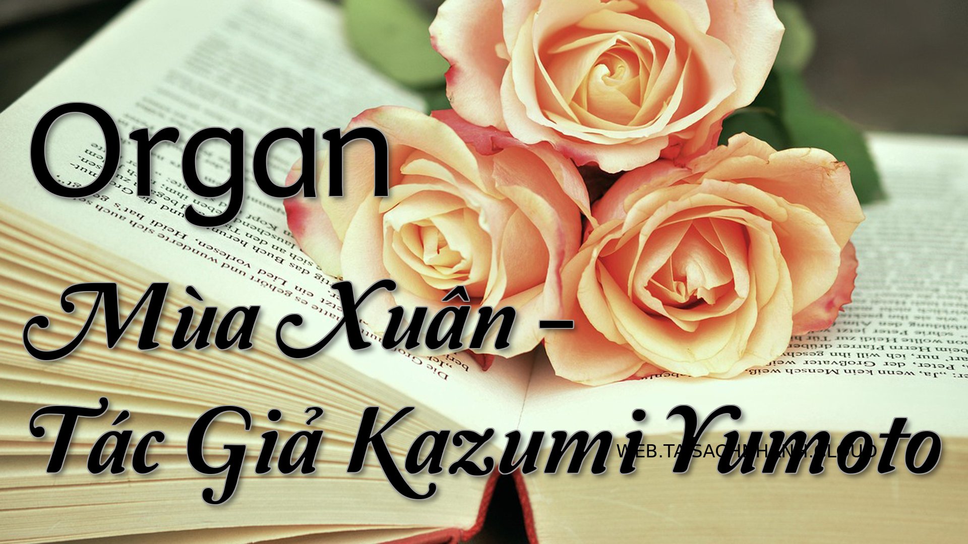 Cover Organ Mua Xuan.jpg