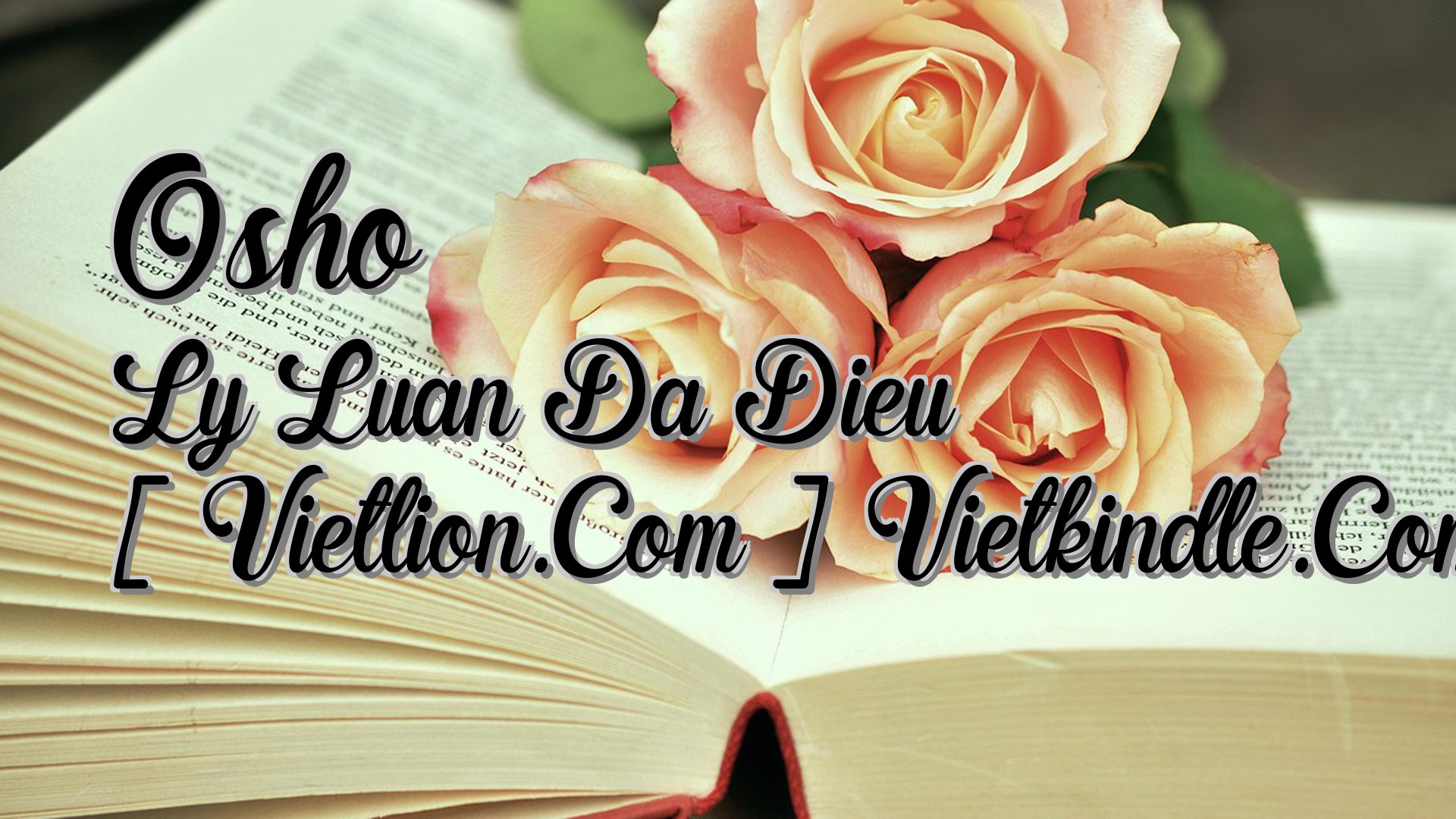 Cover image for Osho Ly Luan Da Dieu [ Vietlion.Com ] Vietkindle.Com