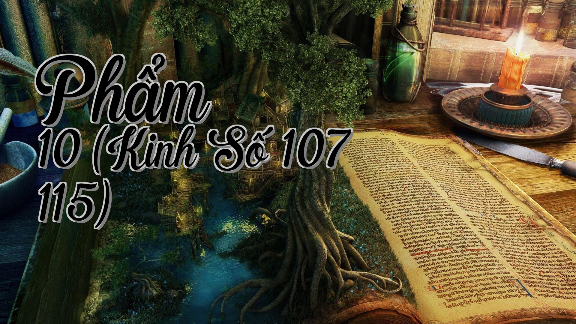 cover-Phẩm 10 (Kinh Số 107 115)