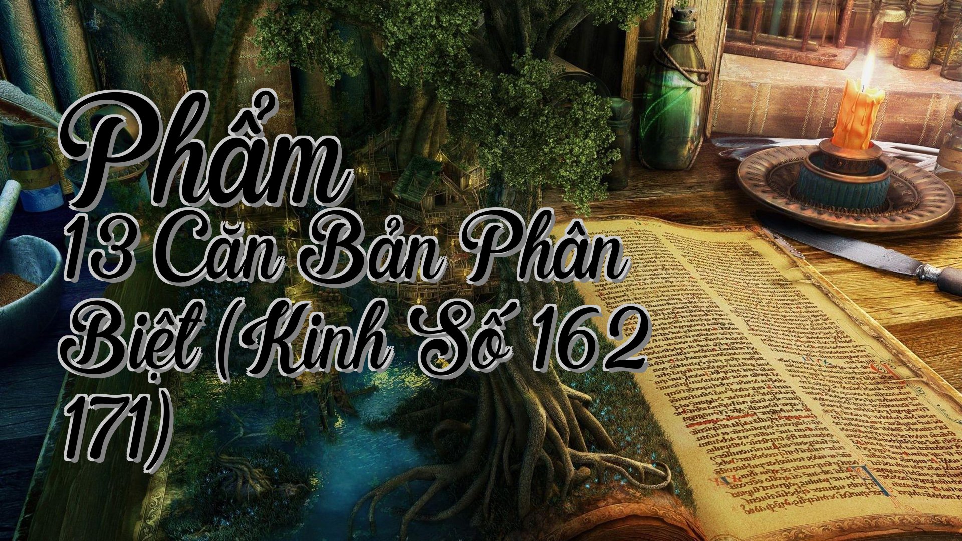 cover-Phẩm 13 Căn Bản Phân Biệt (Kinh Số 162 171)