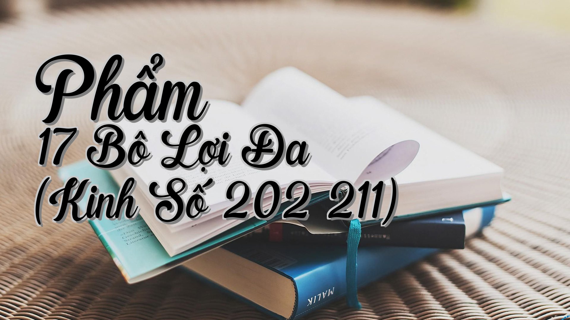 cover-Phẩm 17 Bô Lợi Đa (Kinh Số 202 211)